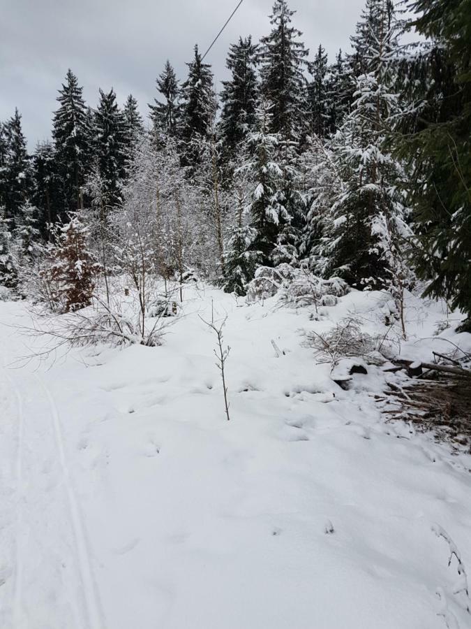 Rosalie - Lake - Hiking&Swimming - Cozy&Nature Winterberg Esterno foto